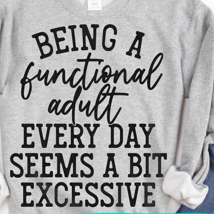 Being a Functional Adult... image 0